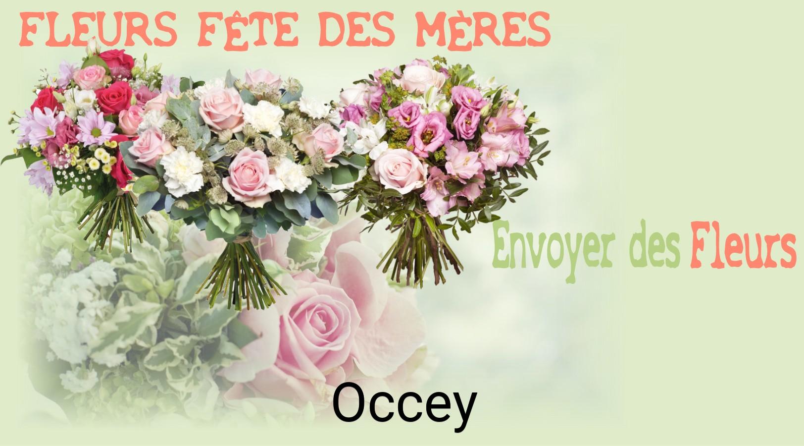 Bouquet de Fête des Mères livré à Occey